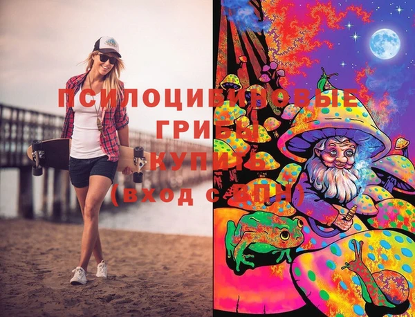 марки lsd Абаза